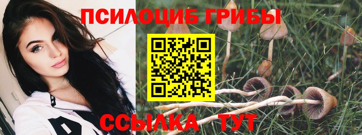 Галлюциногенные грибы Psilocybine cubensis Выборг