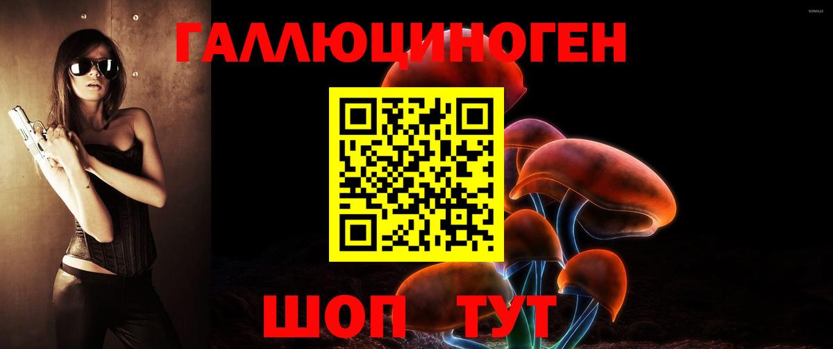 Галлюциногенные грибы Cubensis  Вход с VPN  Галлюциногенные грибы Psilocybine cubensis  Выборг 