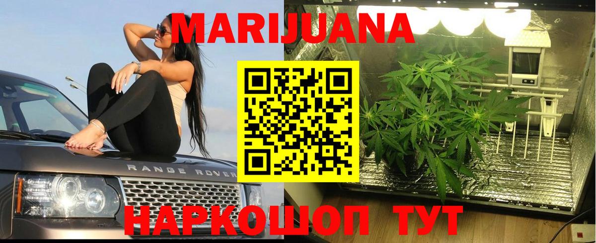 Шишки марихуана White Widow Выборг